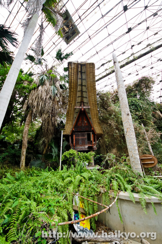Jungle Park - House