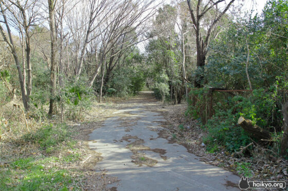 Path at Fuchu