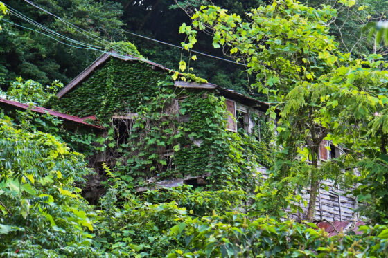 abandoned, haikyo, ruin, urban exploration, urbex