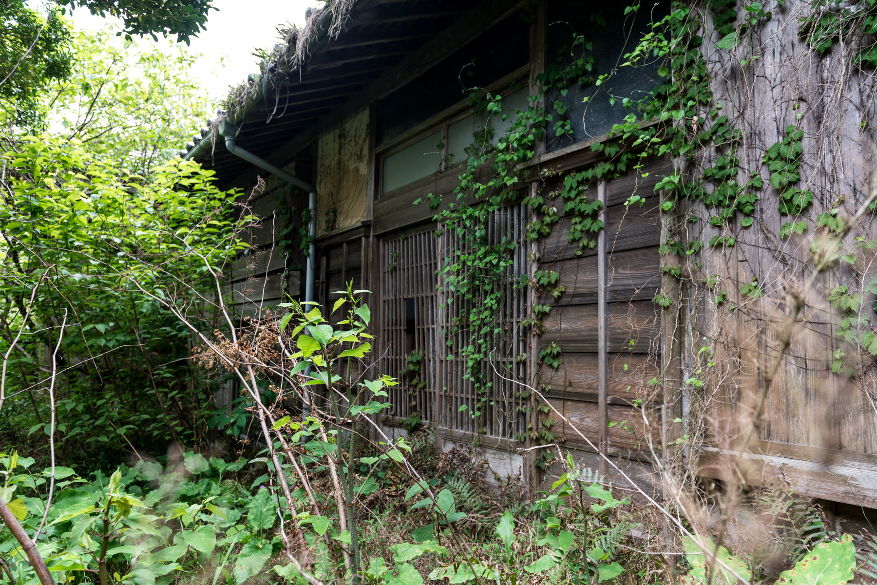 abandoned, haikyo, hospital, japan, japanese, ruin, shikoku, urban exploration, urbex