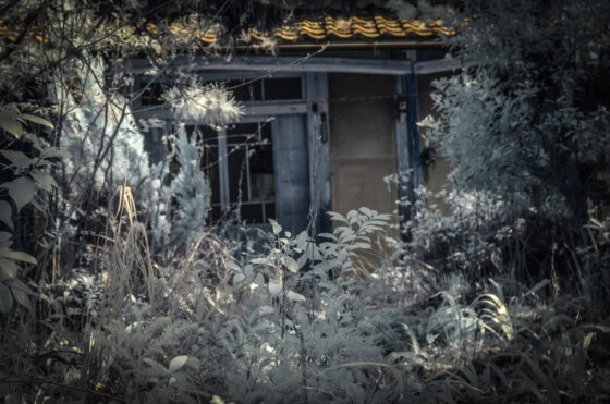abandoned, chubu, gifu, haikyo, hospital, infrared, japan, japanese, ruin, special, urban exploration, urbex