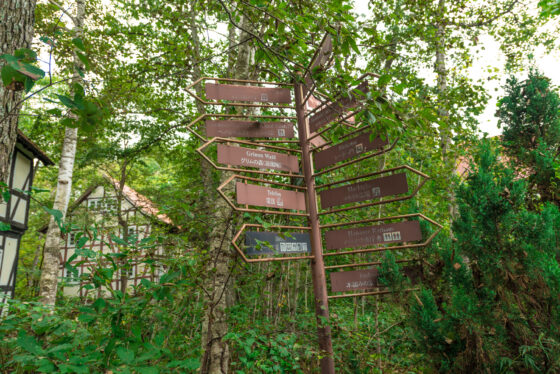 abandoned, haikyo, ruin, urban exploration, urbex