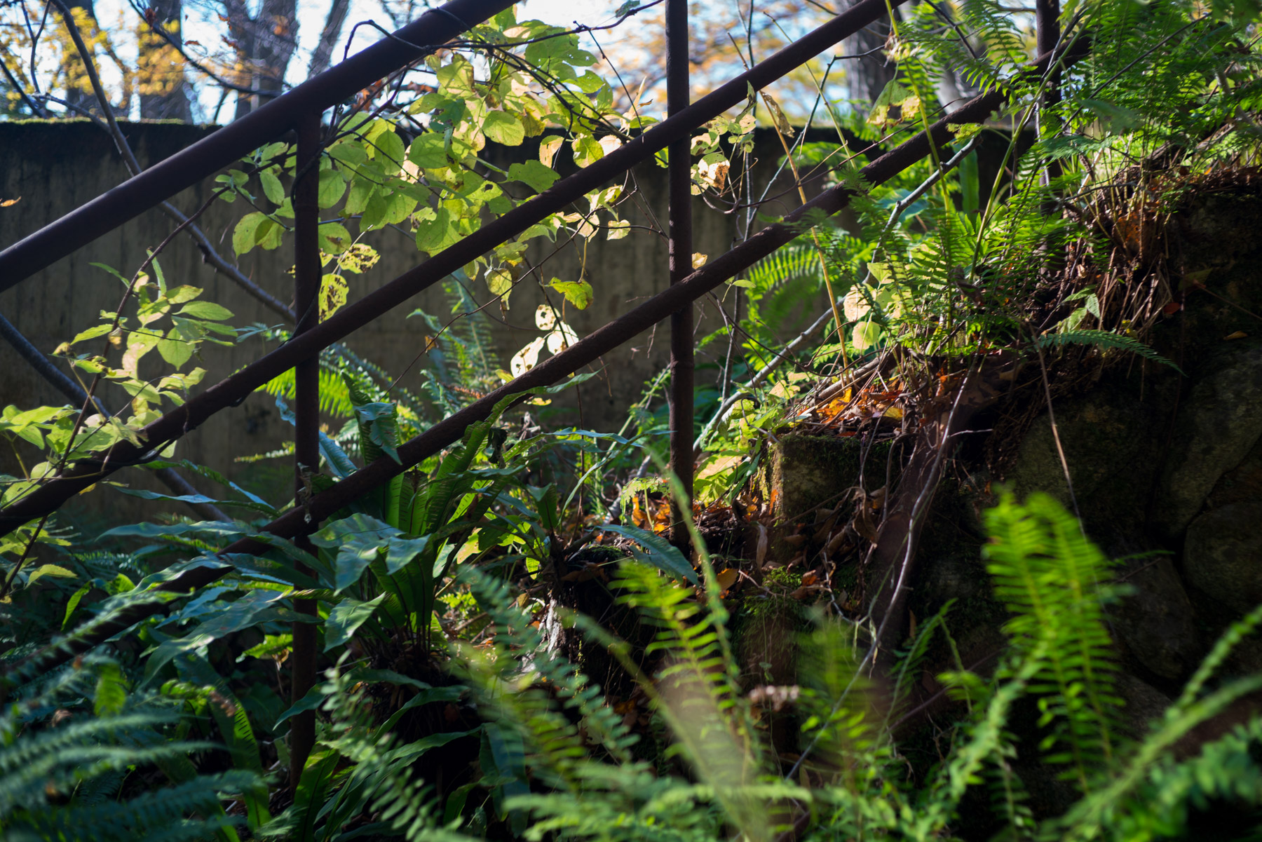 abandoned, autumn, factory, haikyo, iwate, japan, japanese, power-plant, ruin, tohoku, urban exploration, urbex