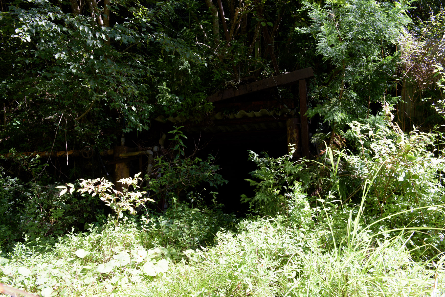 abandoned, aichi, chubu, factory, haikyo, japan, japanese, mine, ruin, urban exploration, urbex