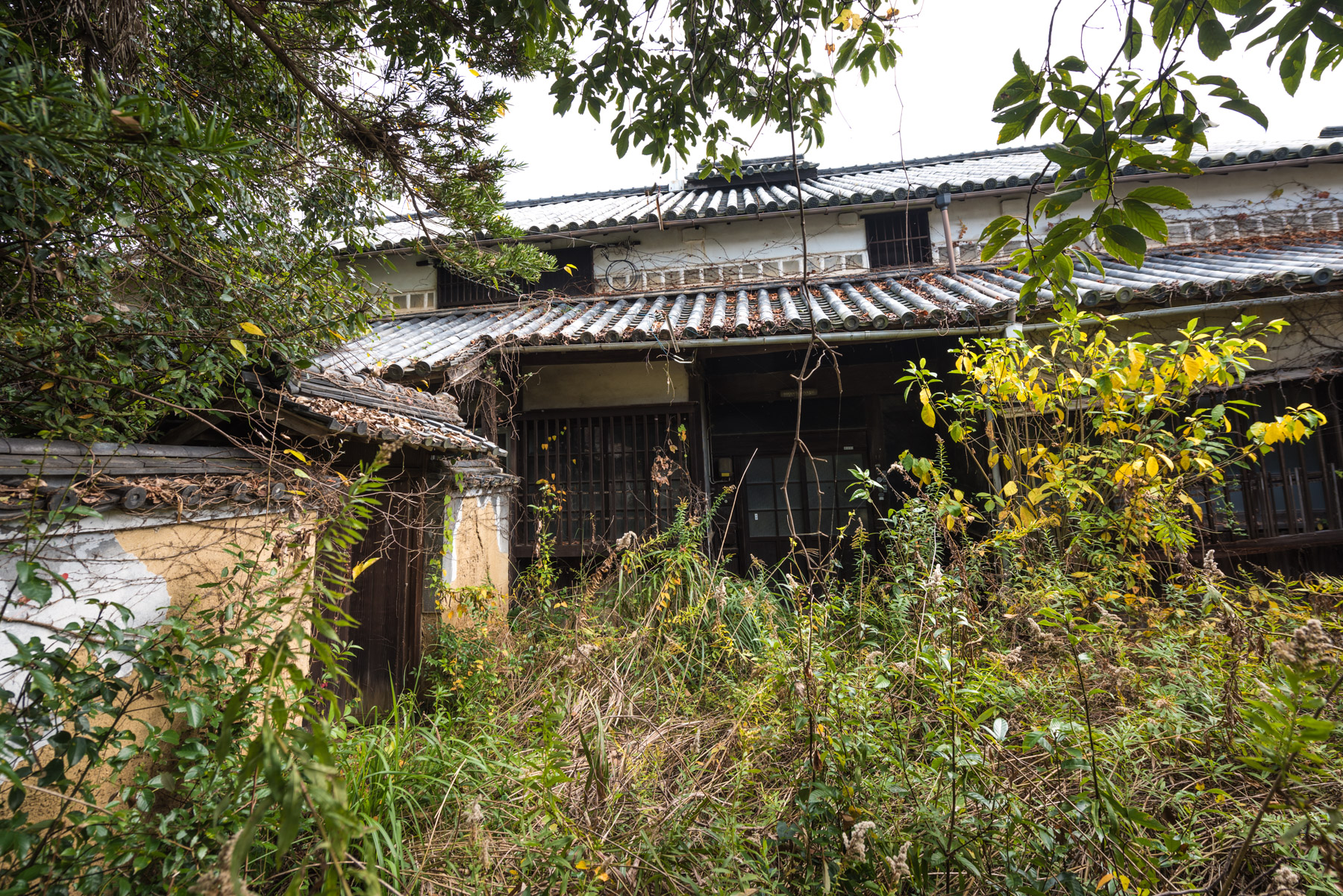 abandoned, chugoku, haikyo, hospital, japan, japanese, okayama, ruin, urban exploration, urbex