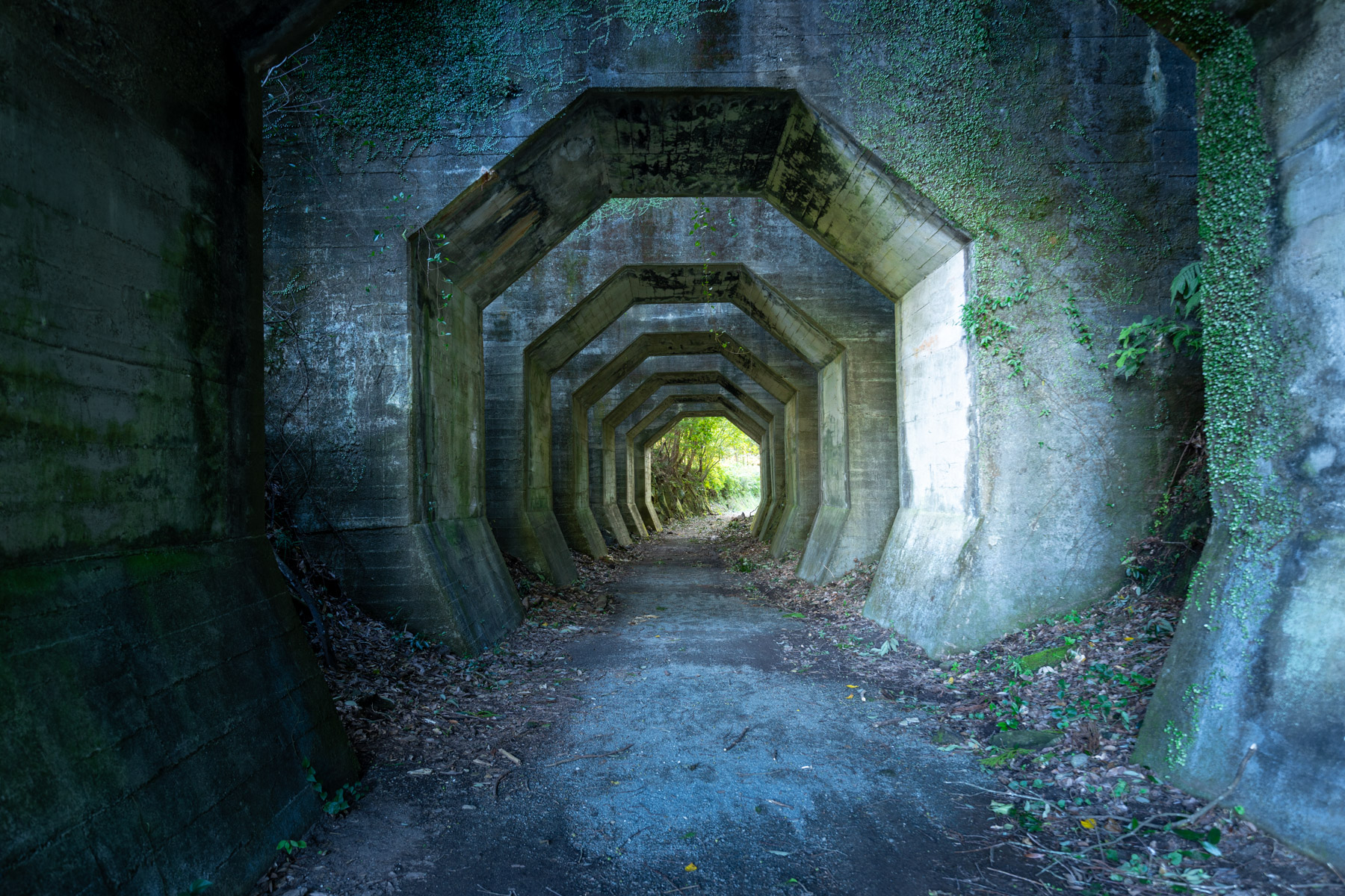 abandoned, haikyo, japan, japanese, kumamoto, kyushu, ruin, tunnel, urban exploration, urbex