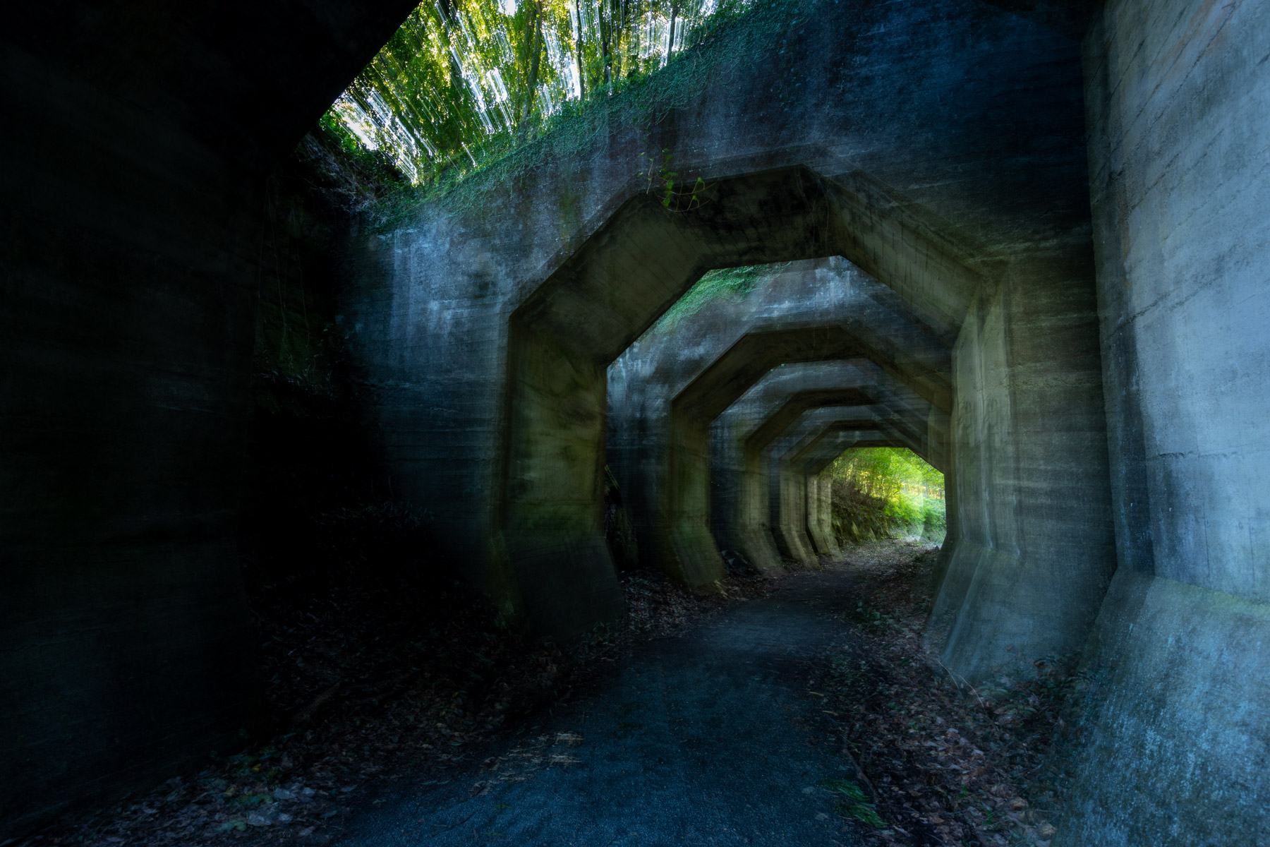 abandoned, haikyo, japan, japanese, kumamoto, kyushu, ruin, tunnel, urban exploration, urbex
