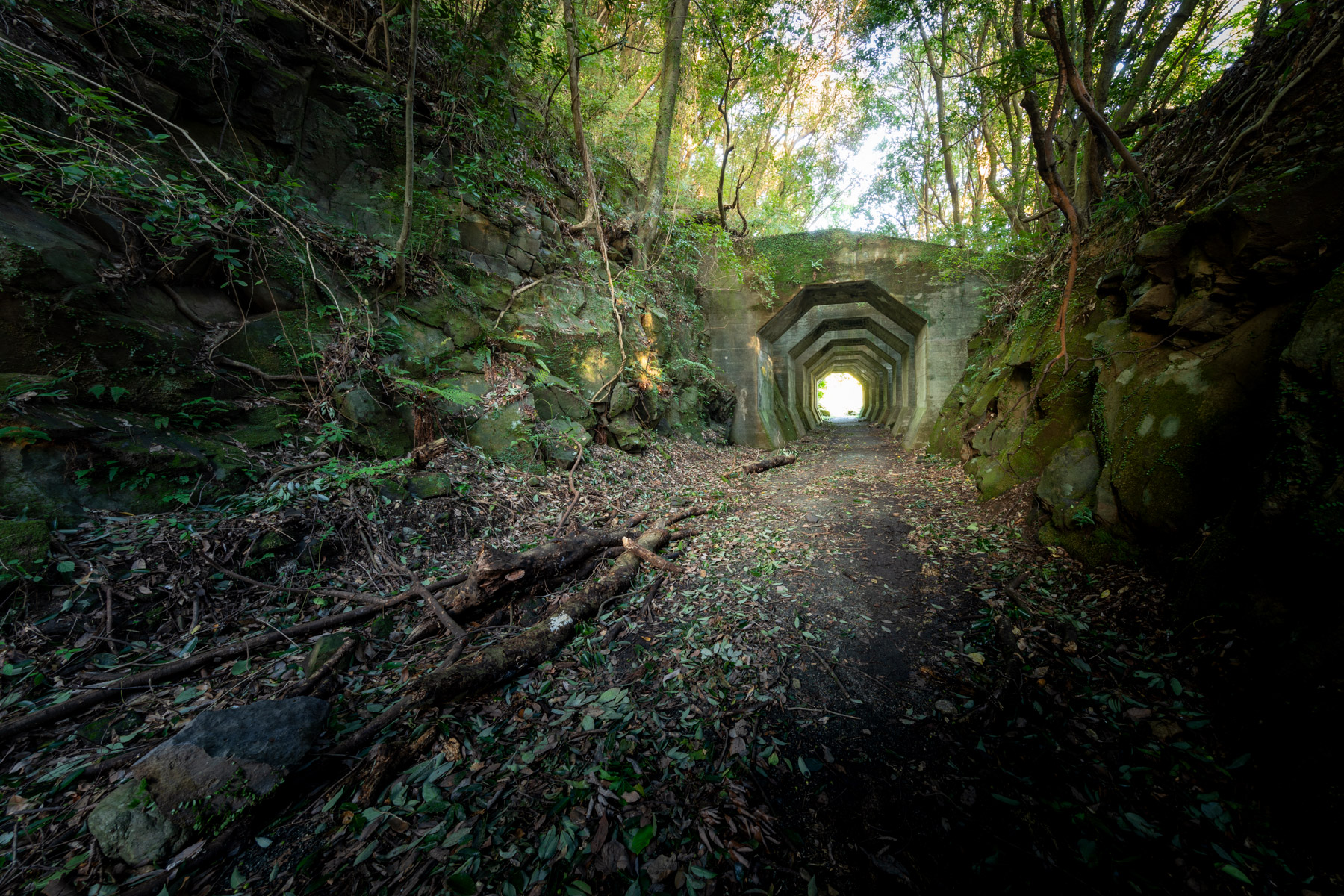 abandoned, haikyo, japan, japanese, kumamoto, kyushu, ruin, tunnel, urban exploration, urbex