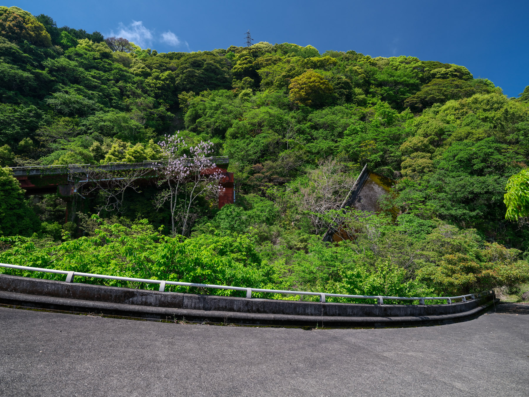 abandoned, bridge, chubu, flower, haikyo, ito, japan, japanese, natural, nature, ruin, sakura, shizuoka, urban exploration, urbex
