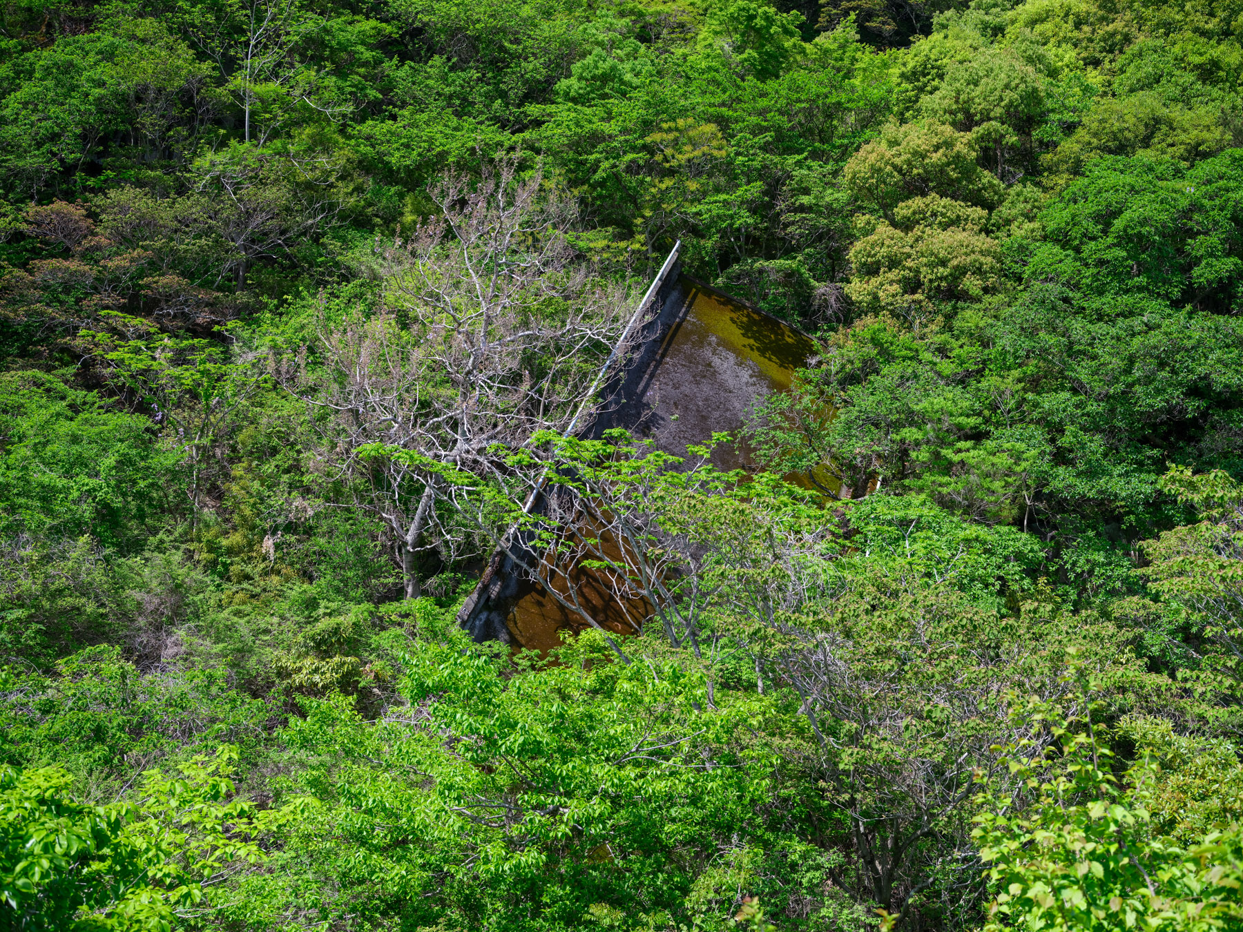 abandoned, bridge, chubu, haikyo, ito, japan, japanese, natural, nature, ruin, shizuoka, urban exploration, urbex