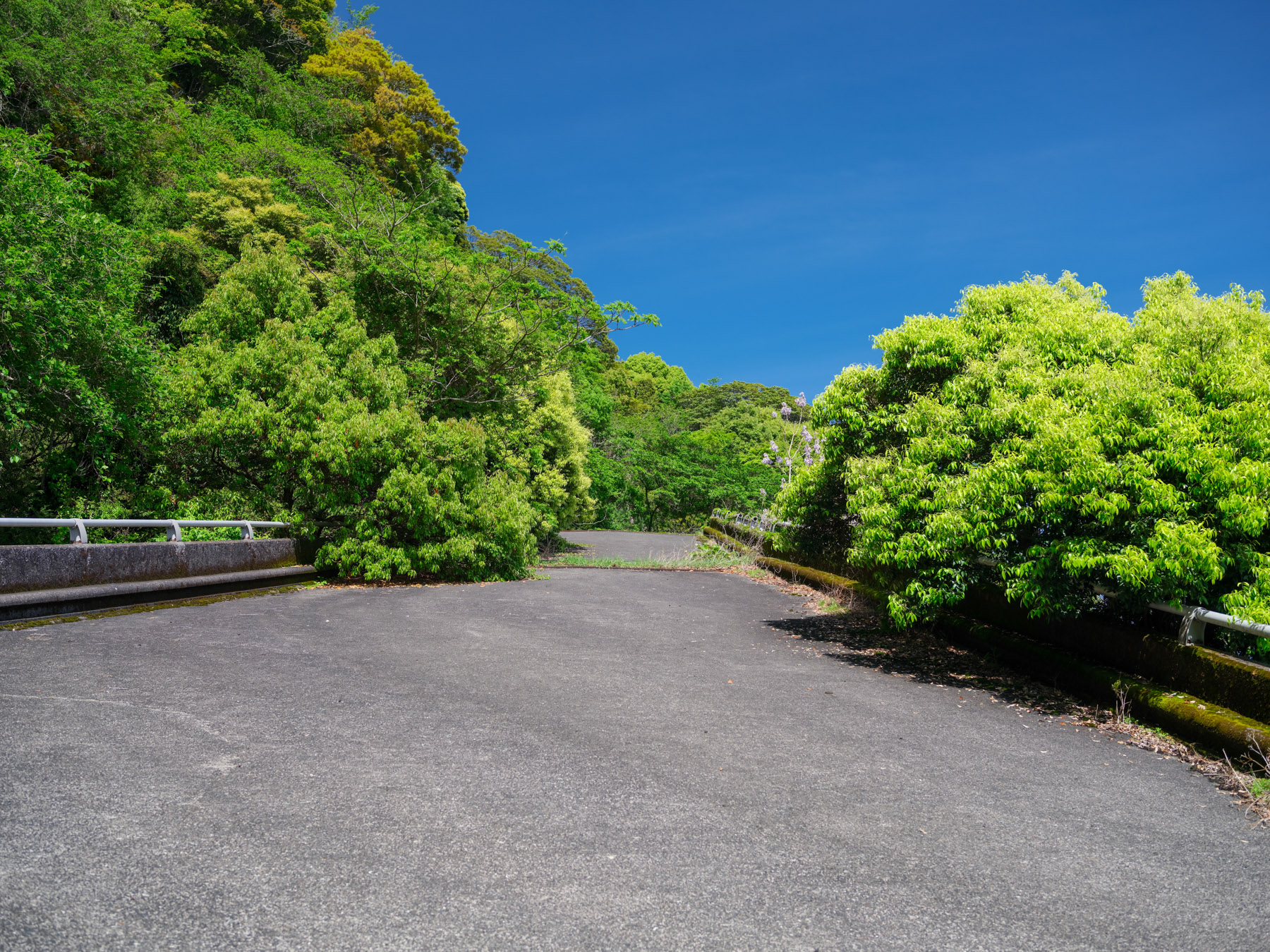 abandoned, bridge, chubu, haikyo, ito, japan, japanese, natural, nature, ruin, shizuoka, urban exploration, urbex