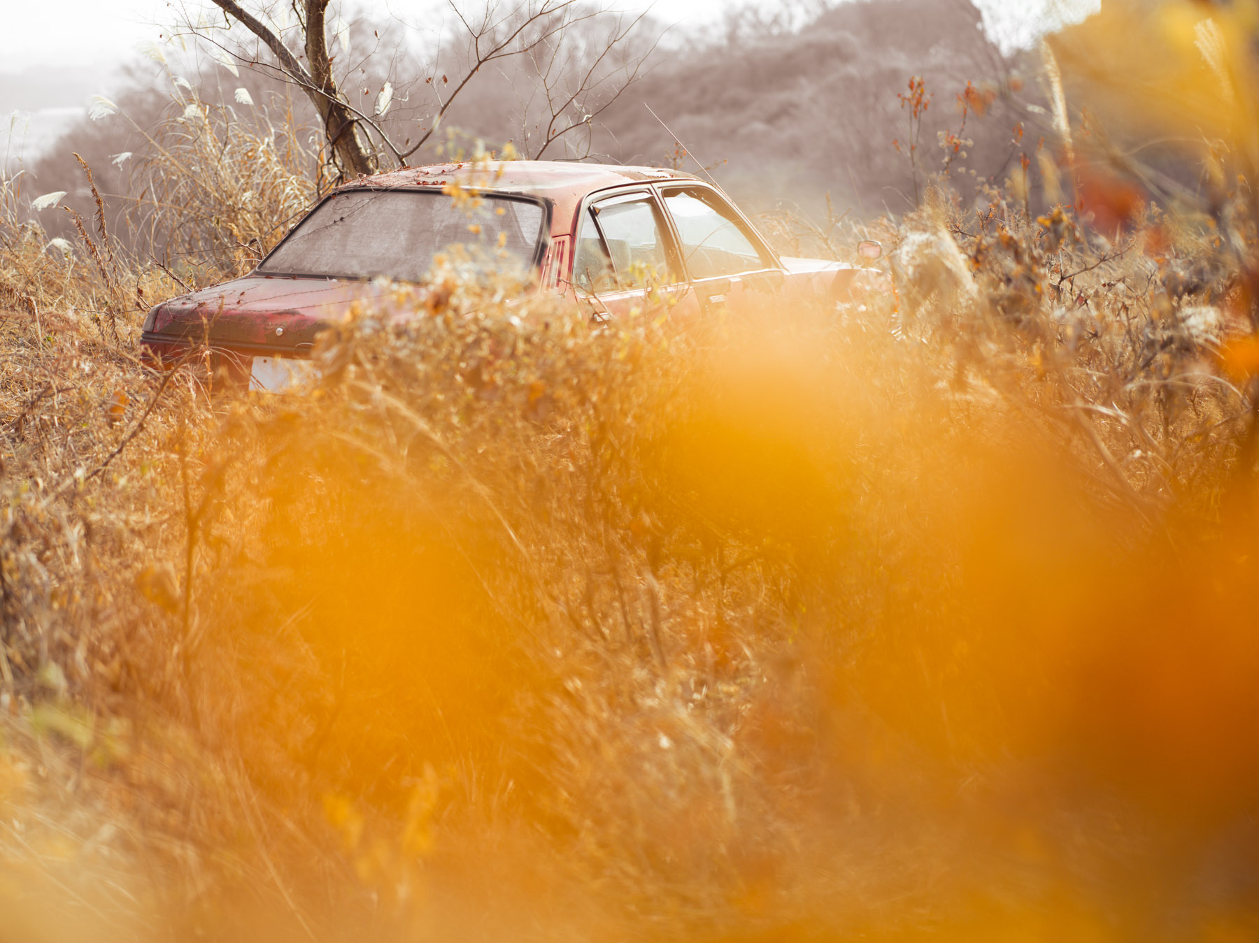 abandoned, autumn, car, haikyo, japan, japanese, kanto, ruin, thing, tochigi, transport, transportation, urban exploration, urbex