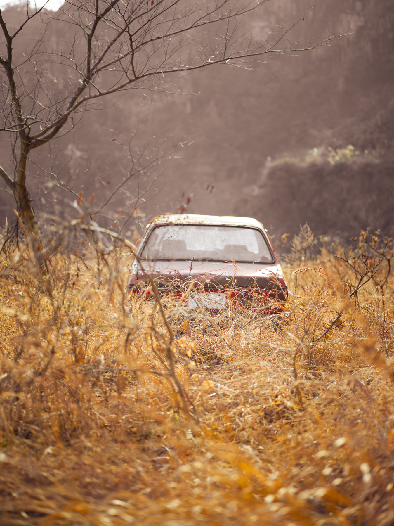 abandoned, autumn, car, haikyo, japan, japanese, kanto, ruin, thing, tochigi, transport, transportation, urban exploration, urbex