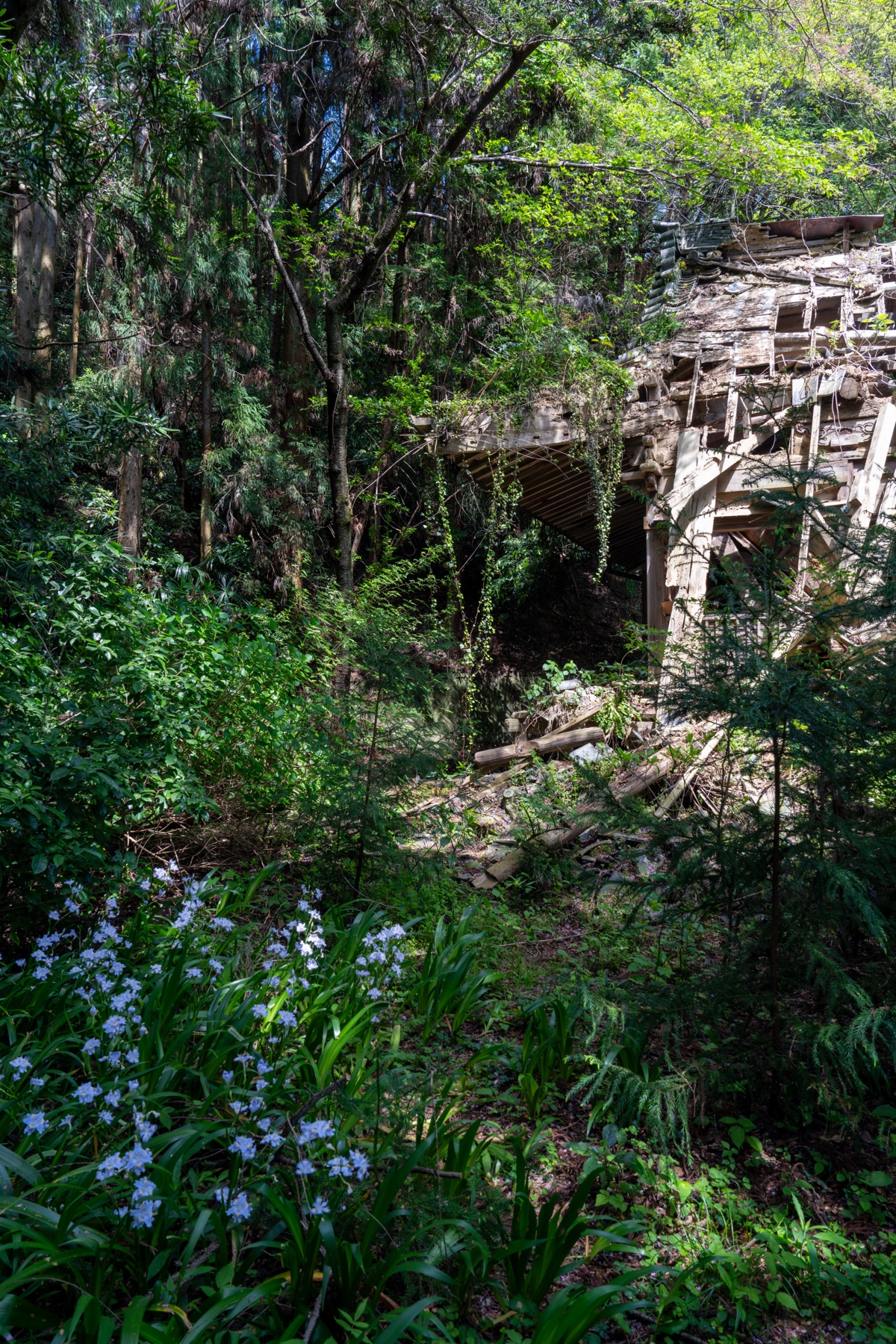 abandoned, haikyo, japan, japanese, religion, ruin, temple, urban exploration, urbex