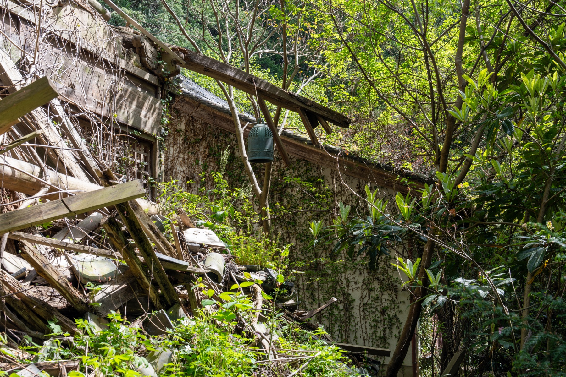 abandoned, haikyo, japan, japanese, religion, ruin, temple, urban exploration, urbex