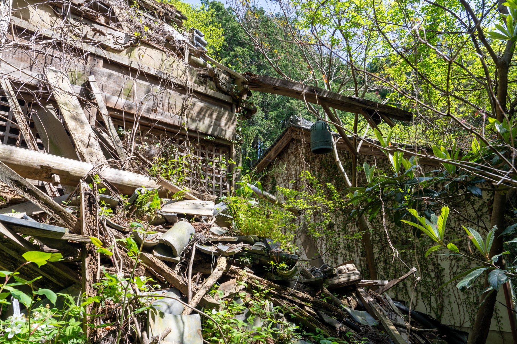 abandoned, haikyo, japan, japanese, religion, ruin, temple, urban exploration, urbex