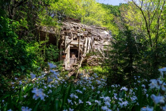 abandoned, haikyo, japan, japanese, religion, ruin, temple, urban exploration, urbex