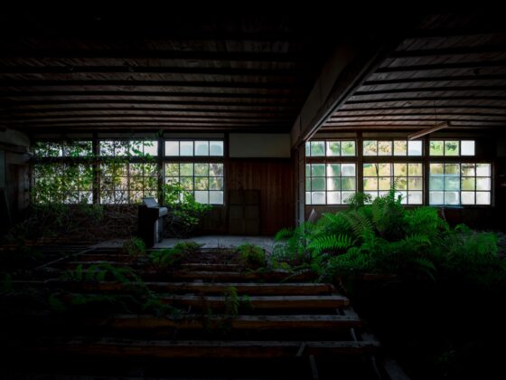 abandoned, haikyo, ivy, japan, japanese, piano, ruin, school, urban exploration, urbex