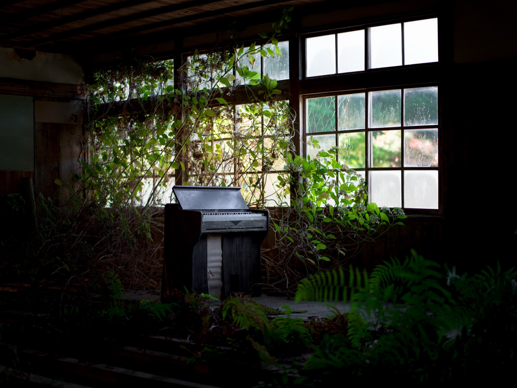 abandoned, haikyo, ivy, japan, japanese, piano, ruin, school, urban exploration, urbex