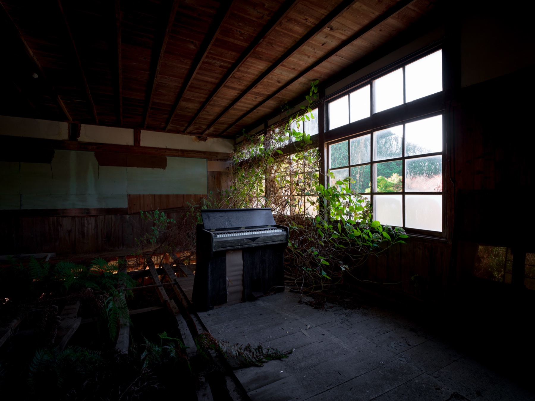 abandoned, haikyo, ivy, japan, japanese, piano, ruin, school, urban exploration, urbex