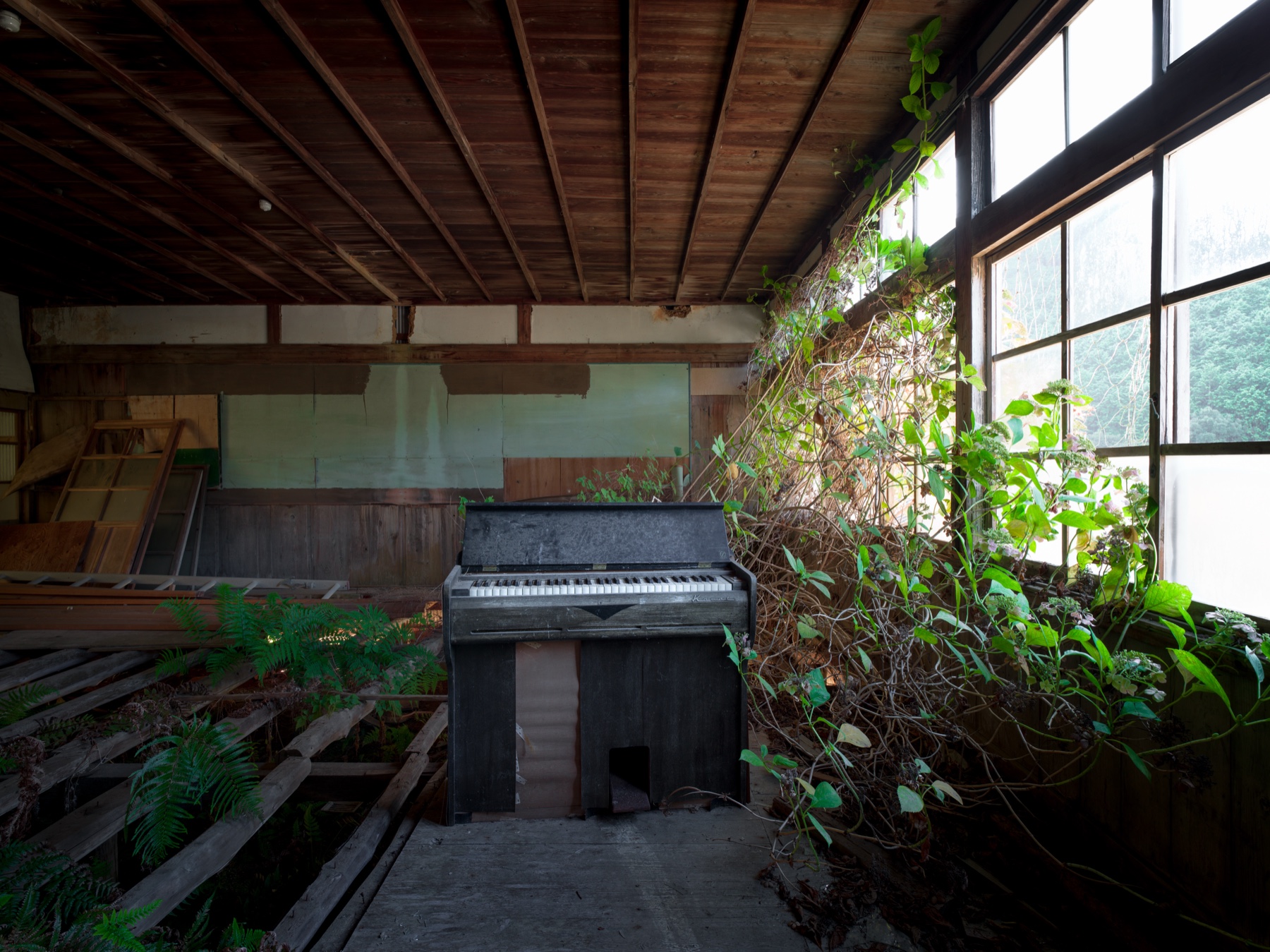 abandoned, haikyo, ivy, japan, japanese, piano, ruin, school, urban exploration, urbex