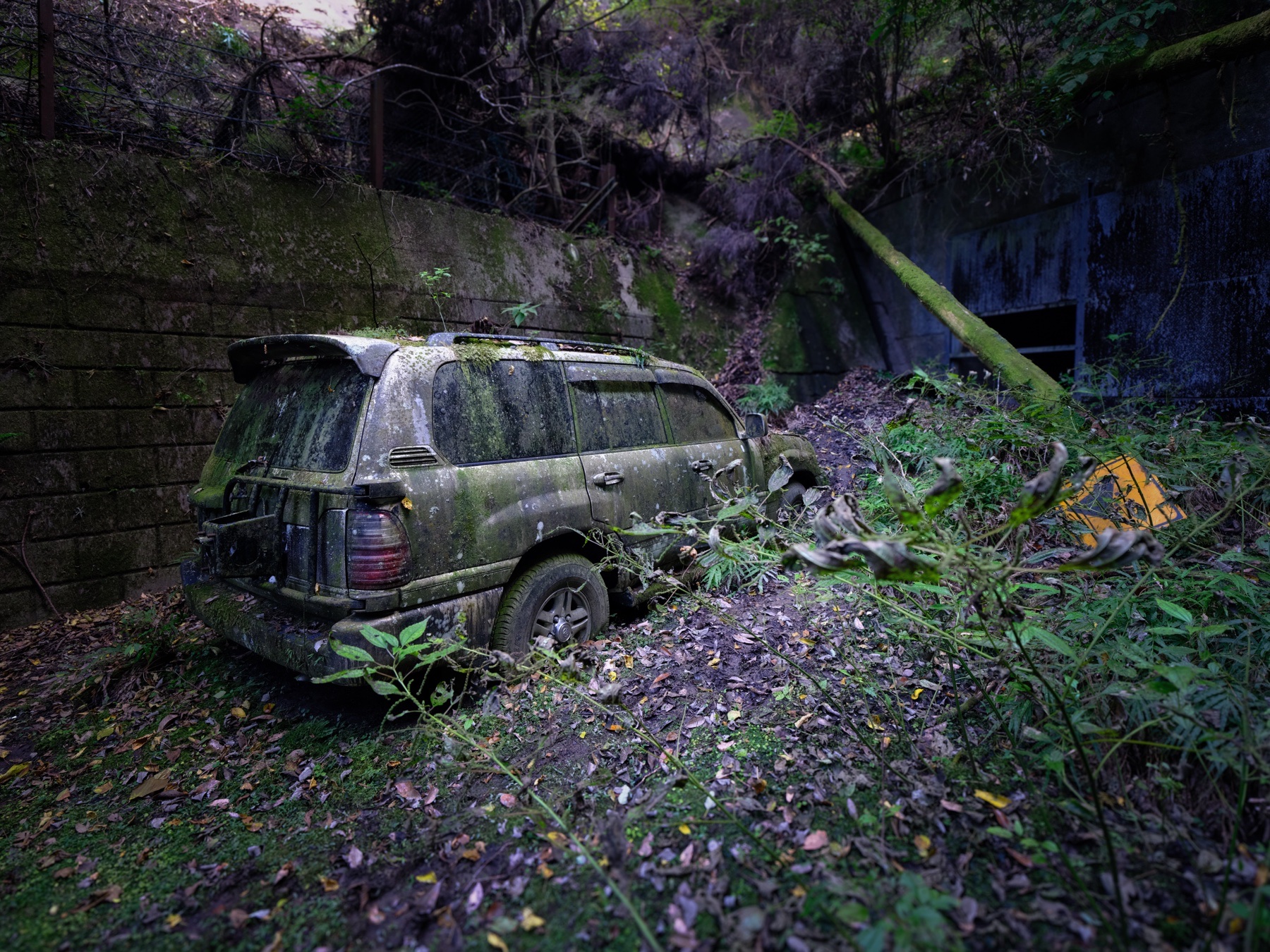 abandoned, car, haikyo, japan, japanese, ruin, urban exploration, urbex, vehicle