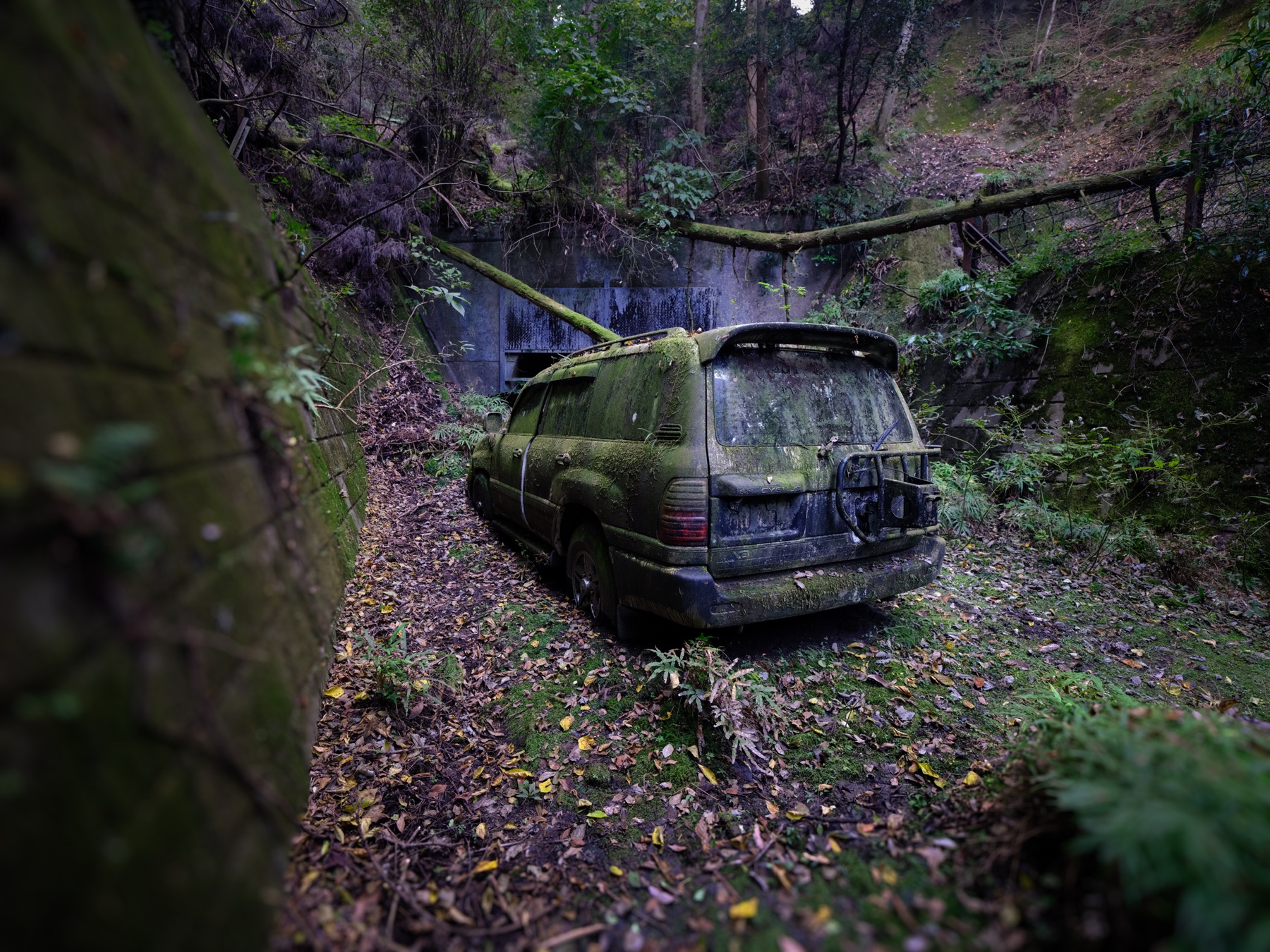 abandoned, car, haikyo, japan, japanese, ruin, urban exploration, urbex, vehicle