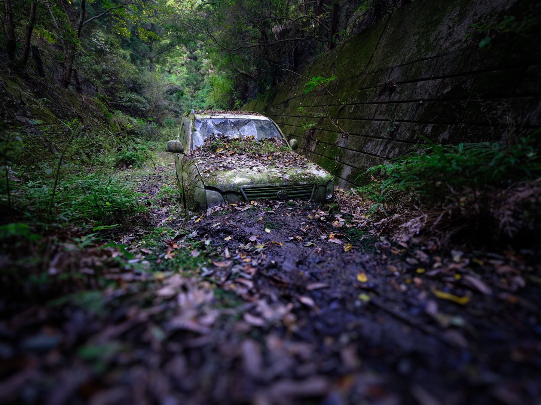 abandoned, car, haikyo, japan, japanese, ruin, urban exploration, urbex, vehicle