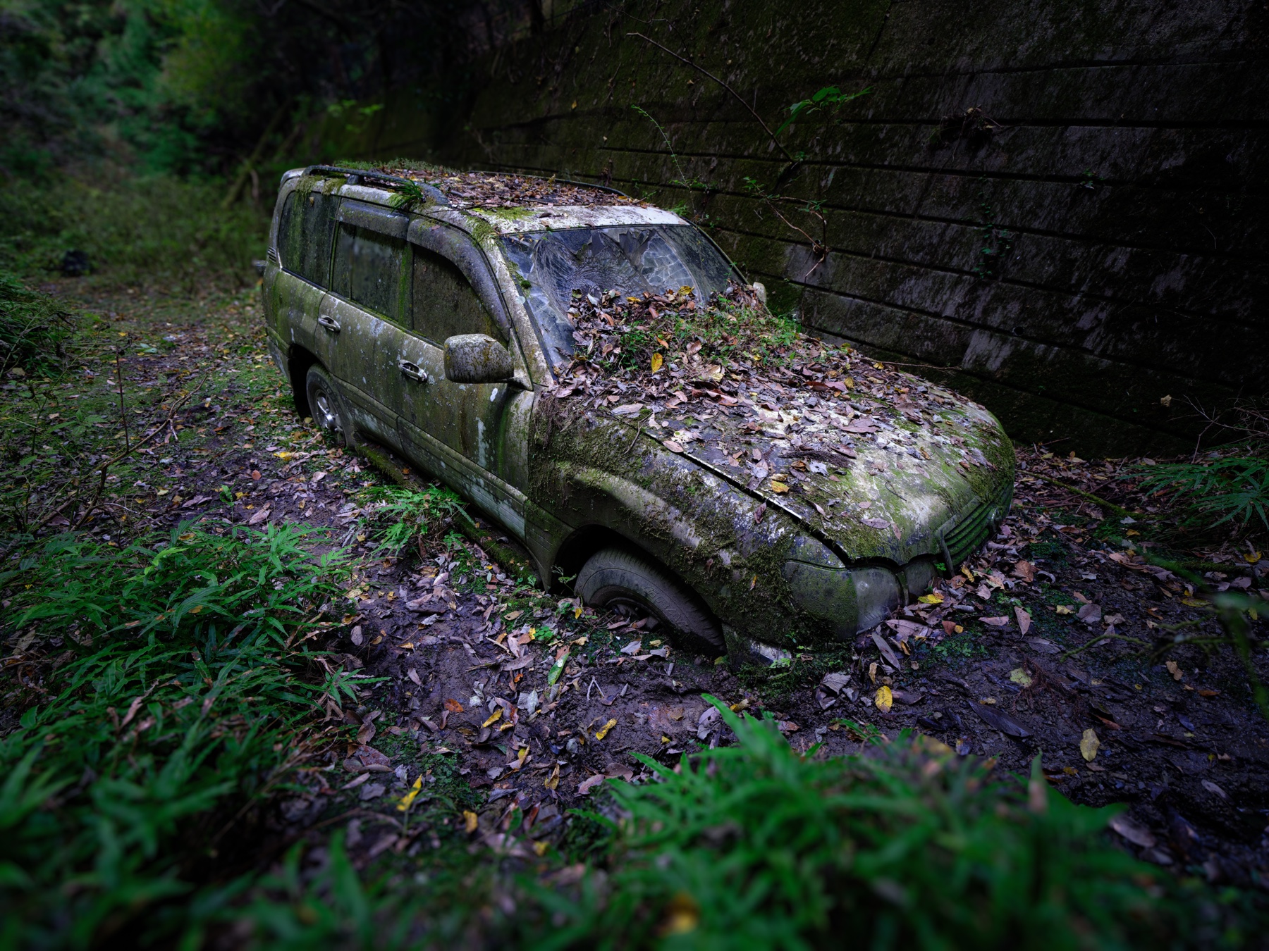abandoned, car, haikyo, japan, japanese, ruin, urban exploration, urbex, vehicle