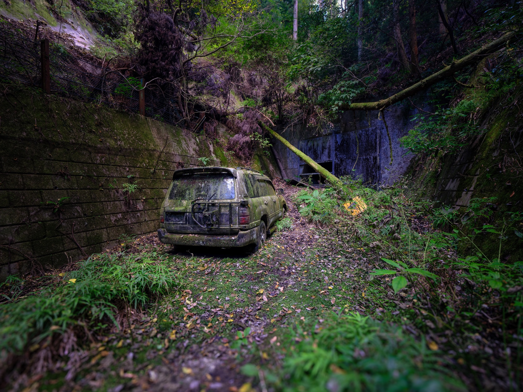 abandoned, car, haikyo, japan, japanese, ruin, urban exploration, urbex, vehicle