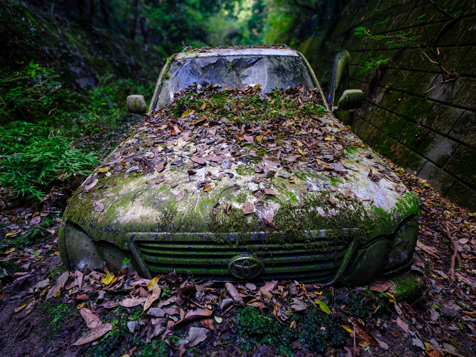 abandoned, car, haikyo, japan, japanese, ruin, urban exploration, urbex, vehicle